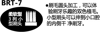BRT-7 刷毛圆头加工，可以体验刷牙乐趣的双色植毛。小型刷头可以伸到小口腔的内侧干净刷牙。